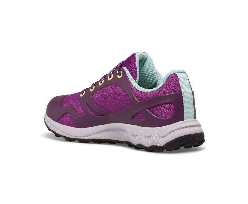 Merrell Altalight Low Kids' Hiking Shoes Purple | 0258-QUVTD