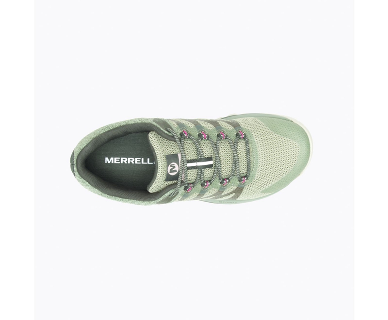 Merrell Antora 2 GORE-TEX® Women's Trail Running Shoes Olive | 4029-TGCOP