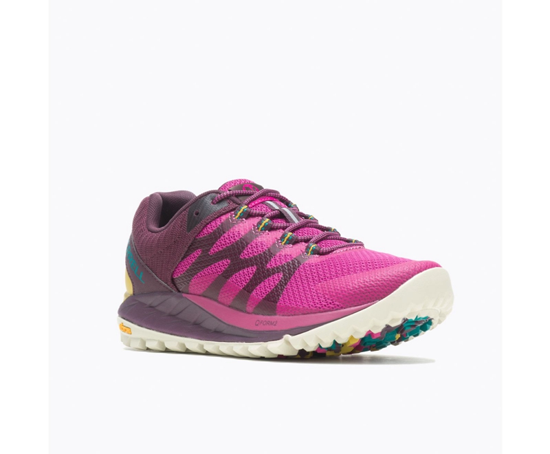 Merrell Antora 2 Women's Trail Running Shoes Fuchsia | 4296-OPLUQ