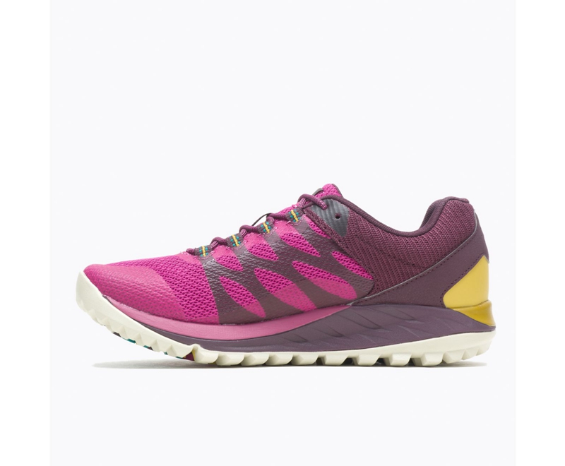 Merrell Antora 2 Women's Trail Running Shoes Fuchsia | 4296-OPLUQ