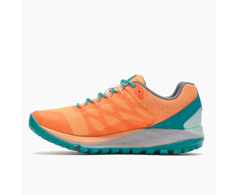 Merrell Antora 2 Women's Trail Running Shoes Orange | 6584-CXHUQ