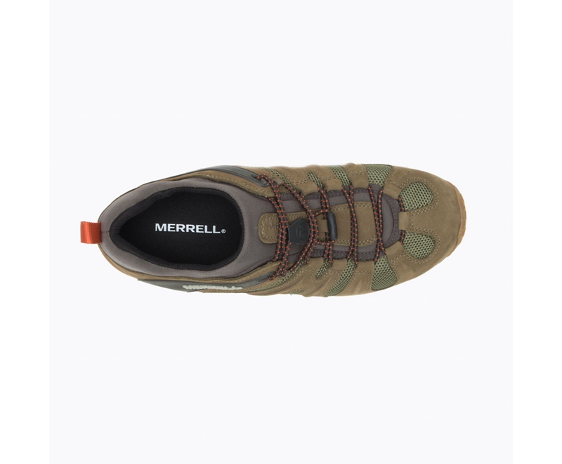 Merrell Chameleon 8 Stretch Men's Hiking Shoes Olive | 9836-PXFQE