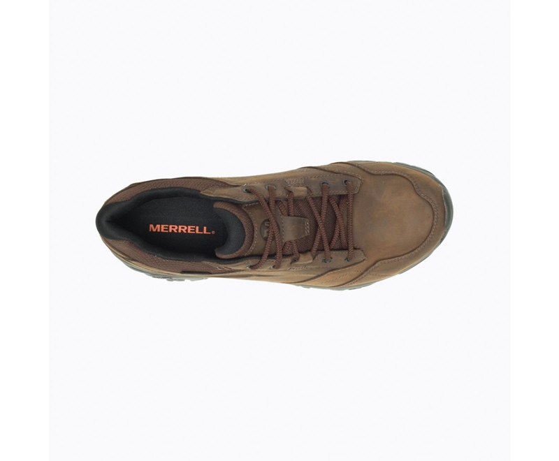 Merrell Moab Adventure Lace Men's Sneakers Coffee | 3764-QNKDR