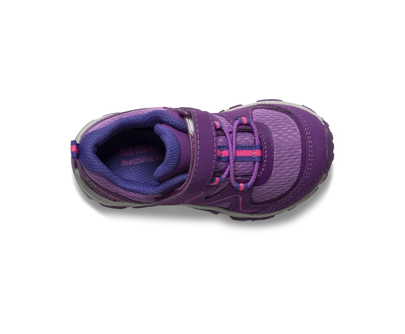 Merrell Trail Quest Jr. Kids' Sneakers Purple | 2134-APLJN