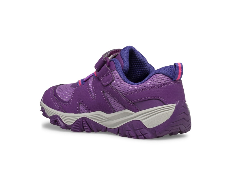 Merrell Trail Quest Jr. Kids' Sneakers Purple | 2134-APLJN