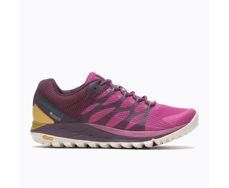 Merrell Antora 2 GORE-TEX® Women's Trail Running Shoes Fuchsia | 1694-BFRNV